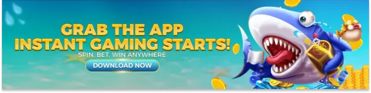 Download APP/APK
